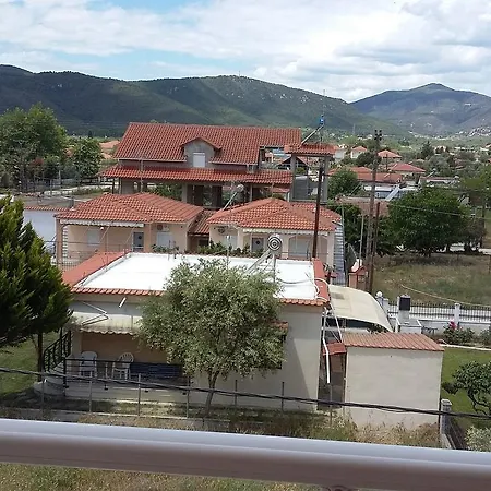 Apartment Dolphins House