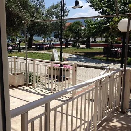 Dolphins House Apartment